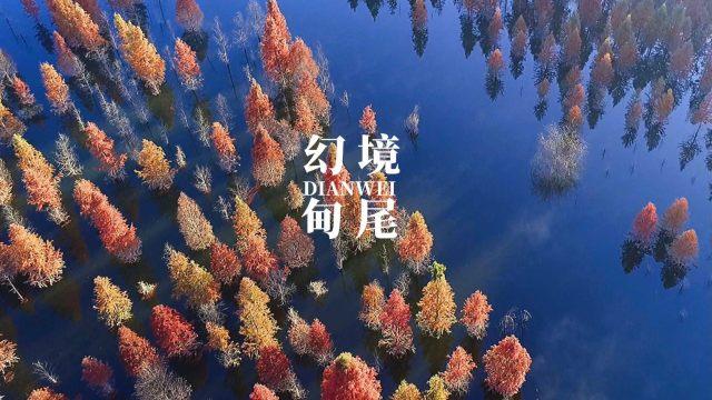 乱斗西游2