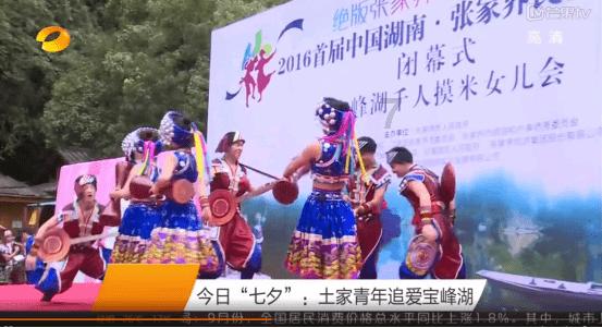 拯救小萌虎